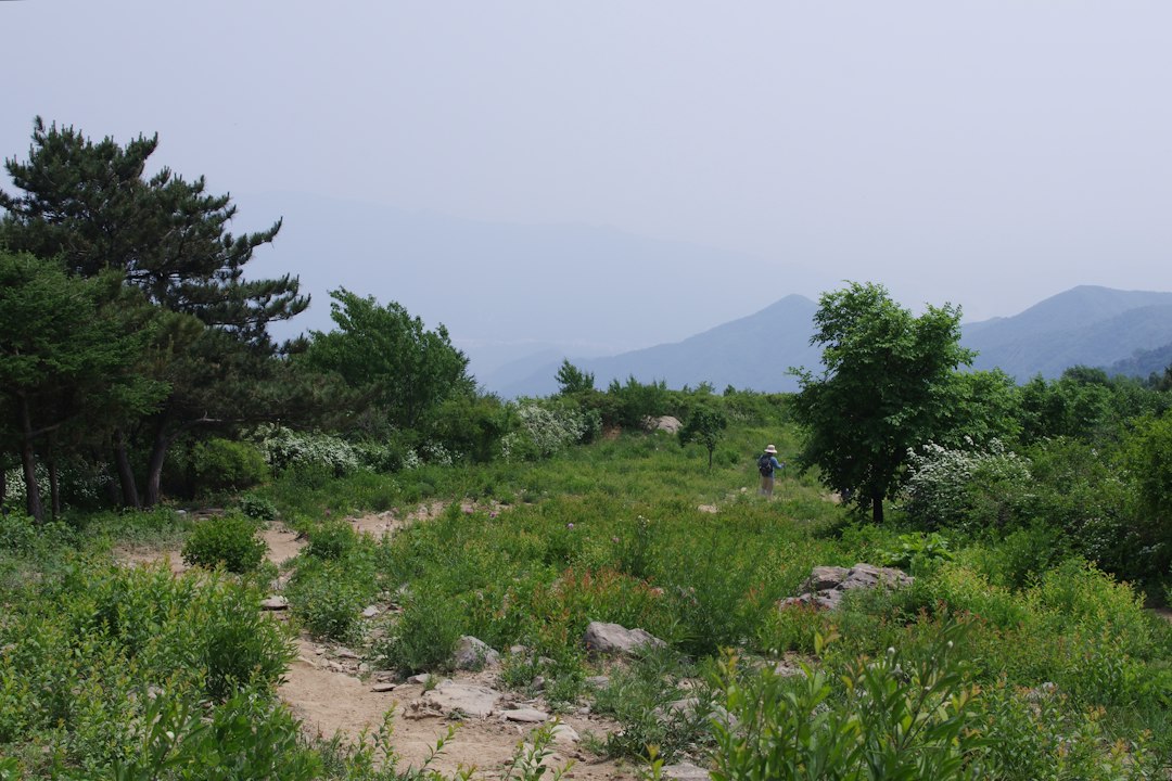 농산물시장 참고 이미지 2
